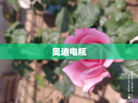 奥迪电瓶