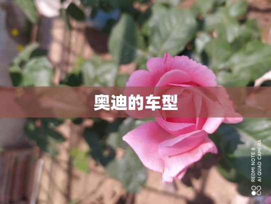 奥迪的车型