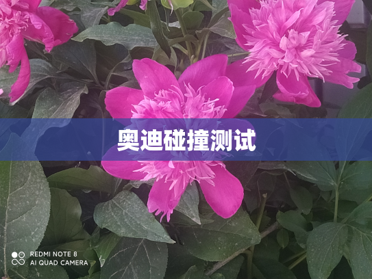 奥迪碰撞测试
