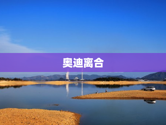 奥迪离合
