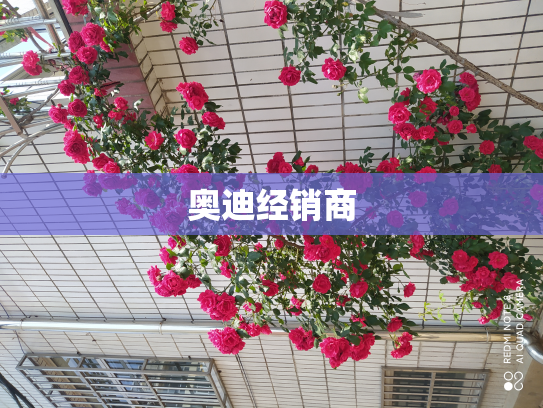 奥迪经销商