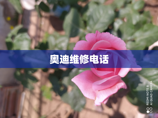 奥迪维修电话