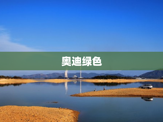 奥迪绿色