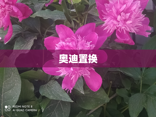 奥迪置换