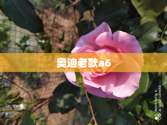 奥迪老款a6