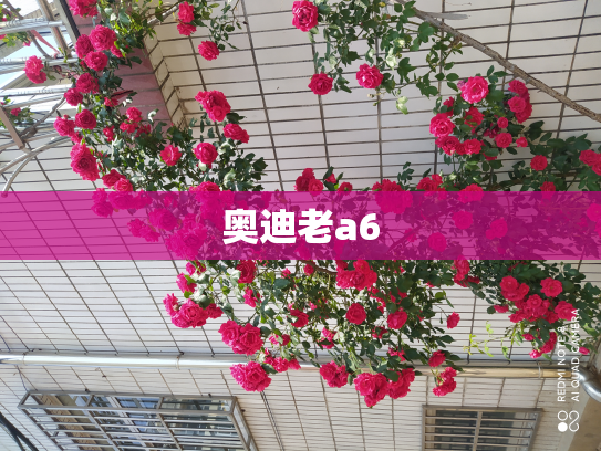 奥迪老a6