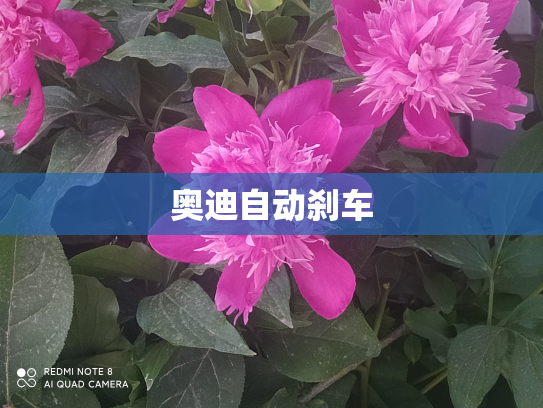 奥迪自动刹车