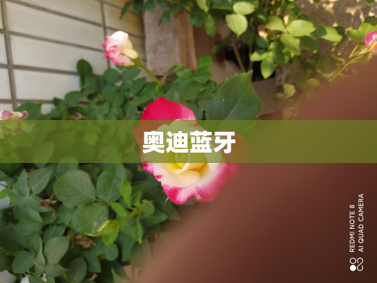 奥迪蓝牙