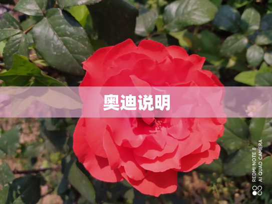 奥迪说明