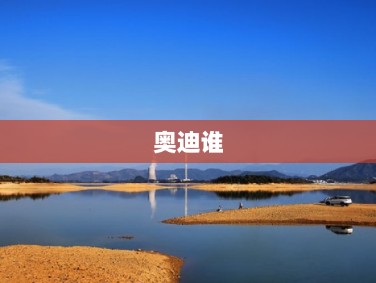 奥迪谁