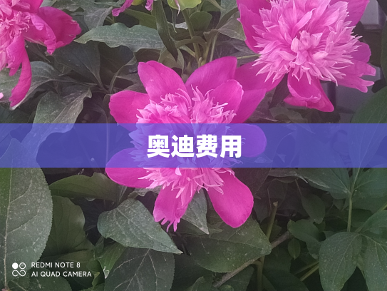 奥迪费用