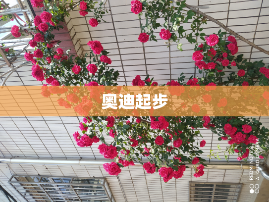 奥迪起步