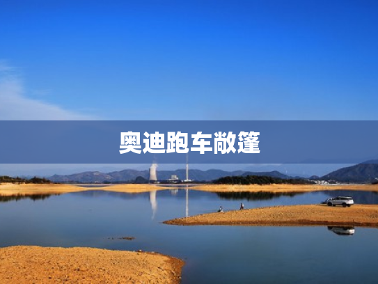 奥迪跑车敞篷
