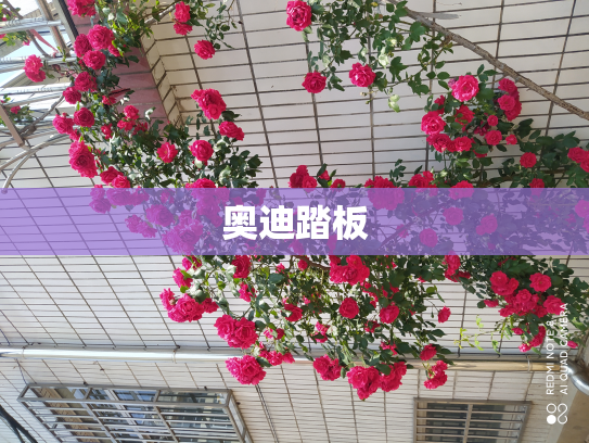 奥迪踏板