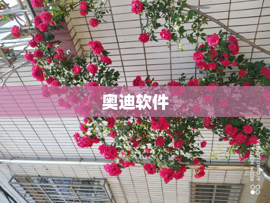 奥迪软件