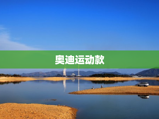 奥迪运动款