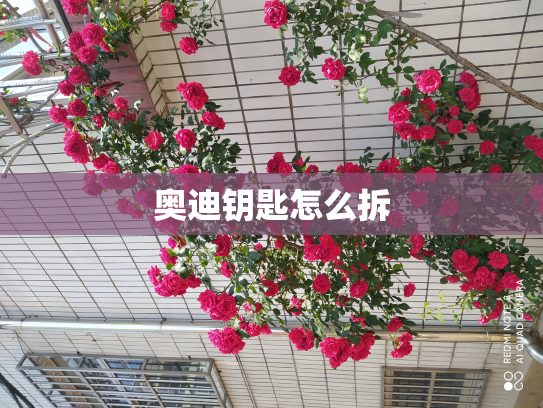 奥迪钥匙怎么拆