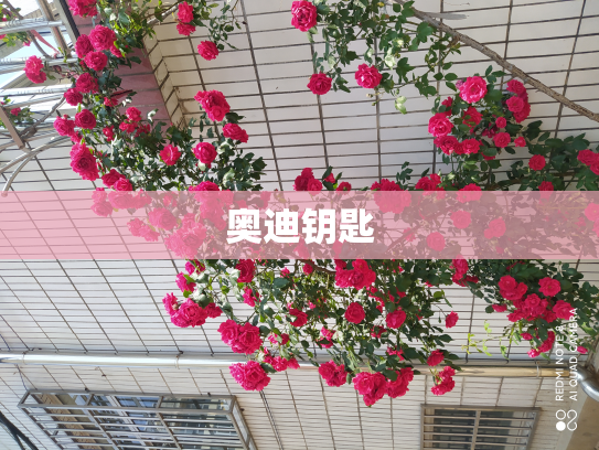奥迪钥匙