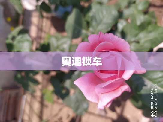 奥迪锁车