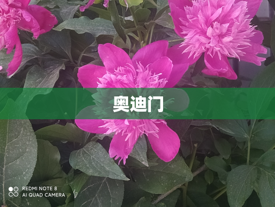 奥迪门