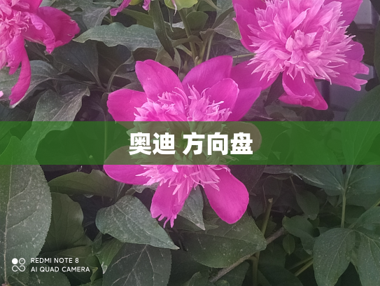 奥迪 方向盘
