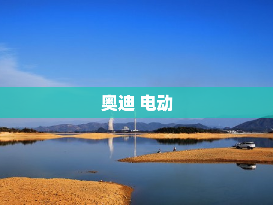 奥迪 电动