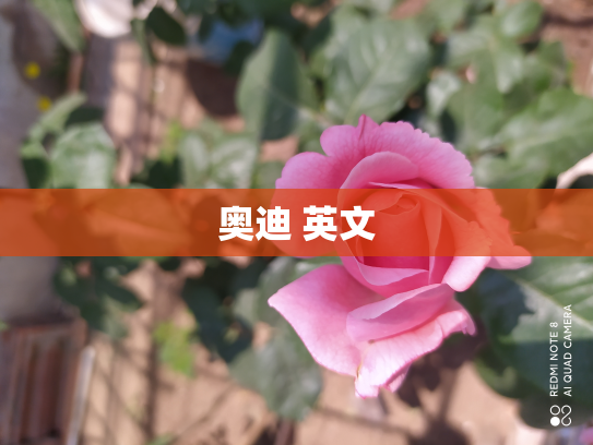 奥迪 英文