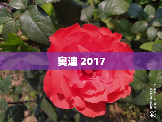 奥迪 2017