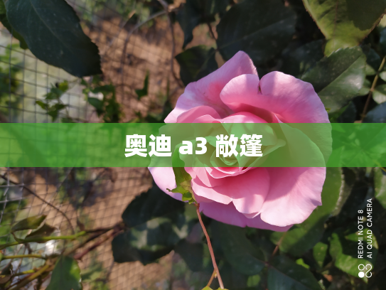 奥迪 a3 敞篷