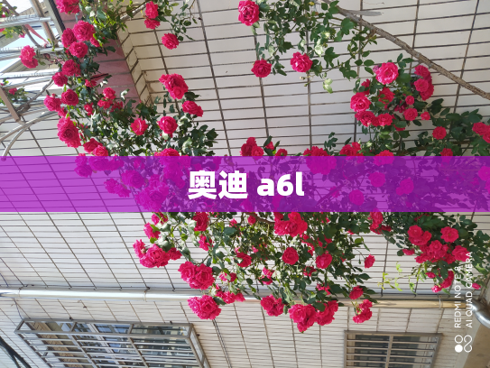 奥迪 a6l