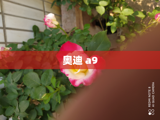 奥迪 a9