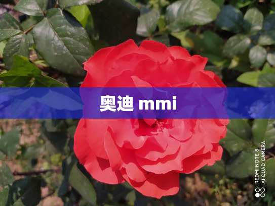 奥迪 mmi