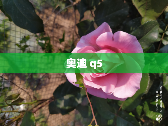 奥迪 q5