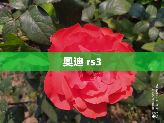 奥迪 rs3