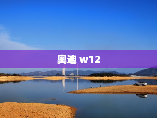奥迪 w12