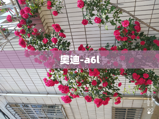 奥迪-a6l