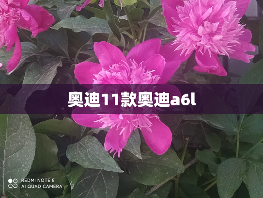 奥迪11款奥迪a6l