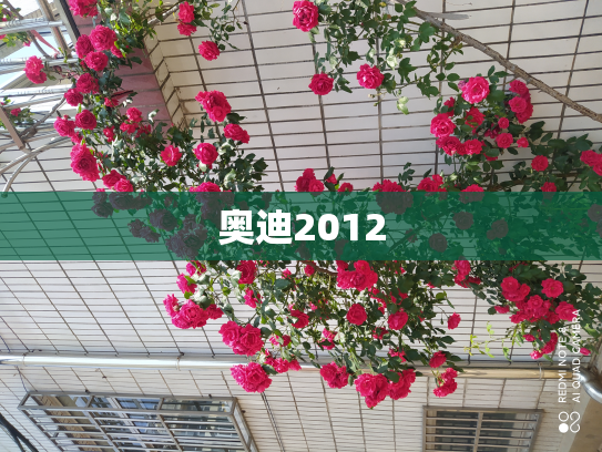 奥迪2012