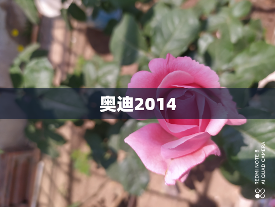 奥迪2014