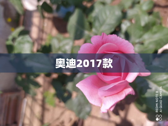 奥迪2017款