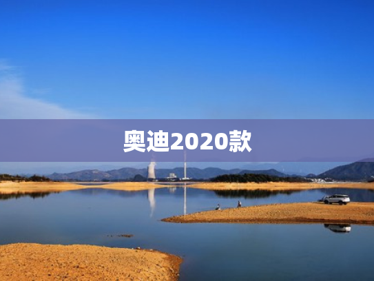 奥迪2020款