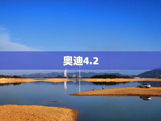 奥迪4.2