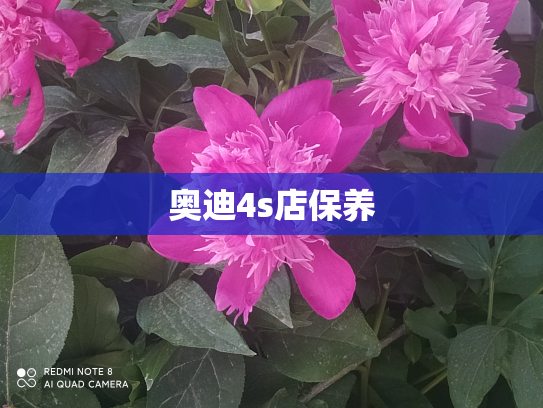 奥迪4s店保养