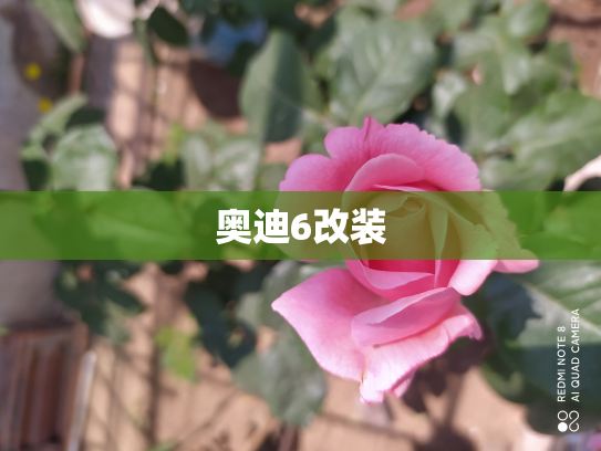 奥迪6改装