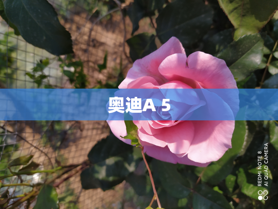 奥迪A 5