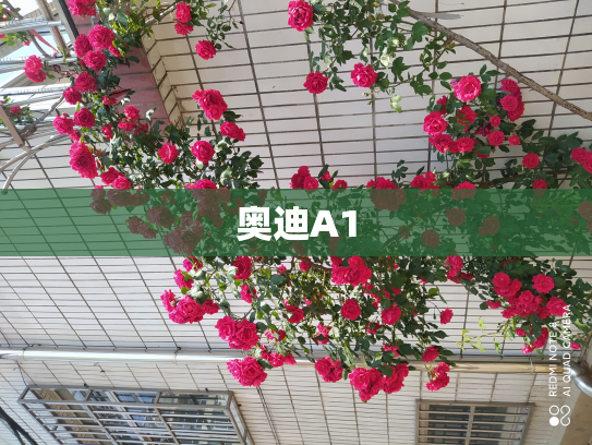 奥迪A1