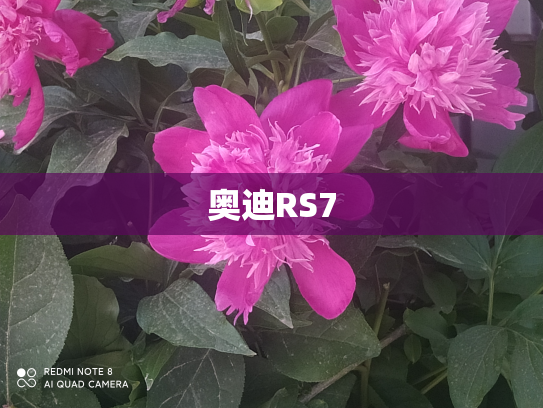 奥迪RS7