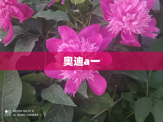 奥迪a一