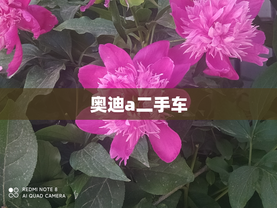 奥迪a二手车
