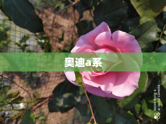 奥迪a系